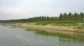 Po river - Emilia Romagna Region, Italy